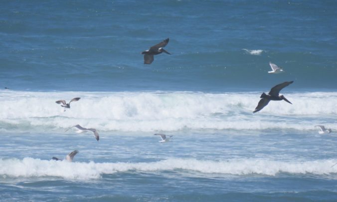 cropped-img_2460.jpg