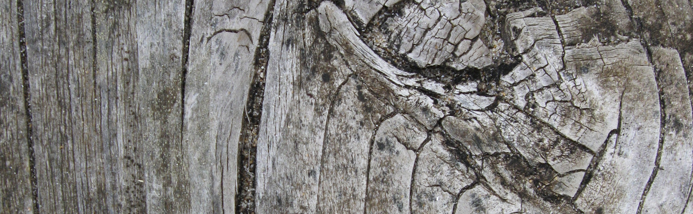 wood2