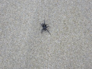 IMG_3505