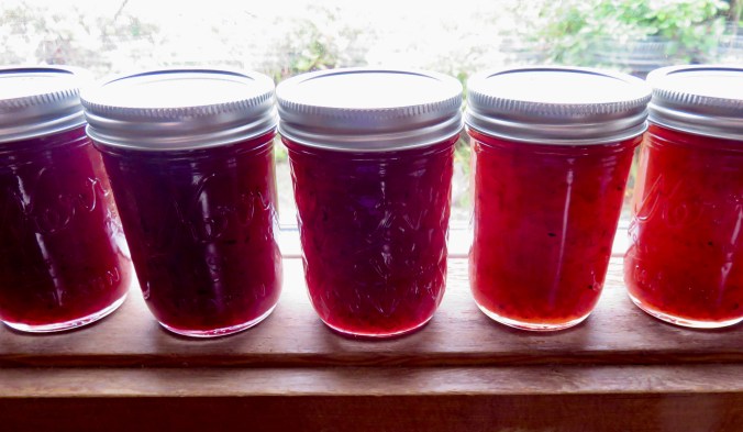 JAM INSTRUCTIONS