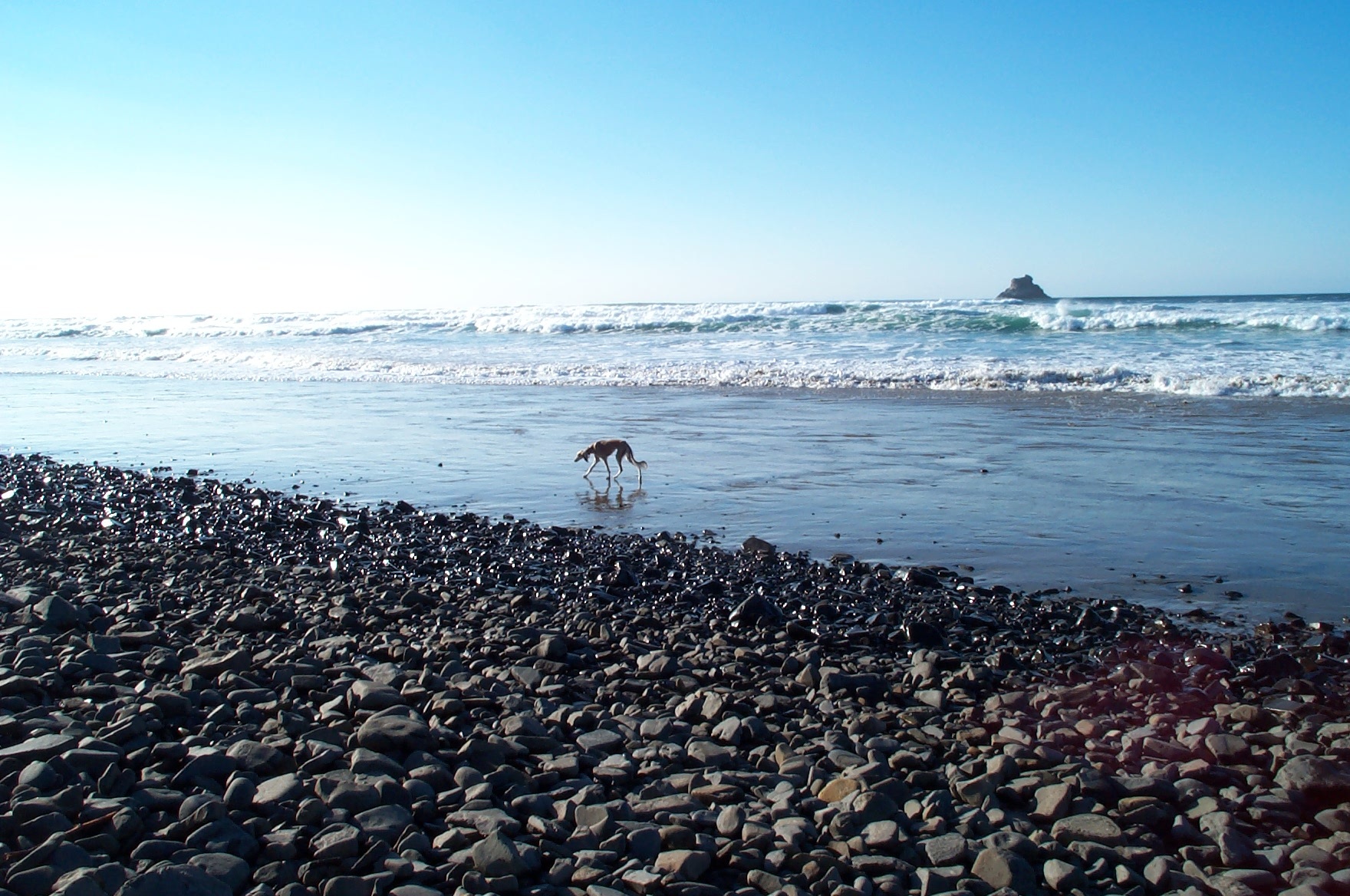 yetiONbeach
