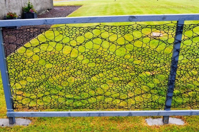 GOOD FENCES…