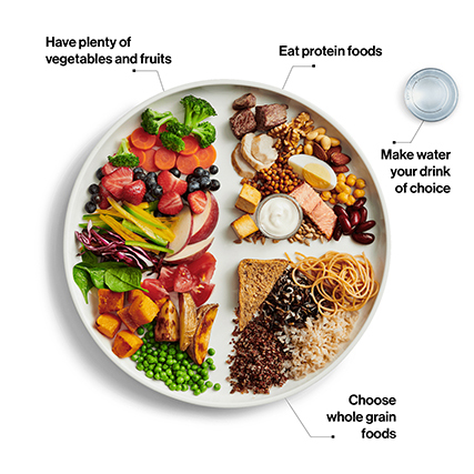 Canada food guide-1.jpg