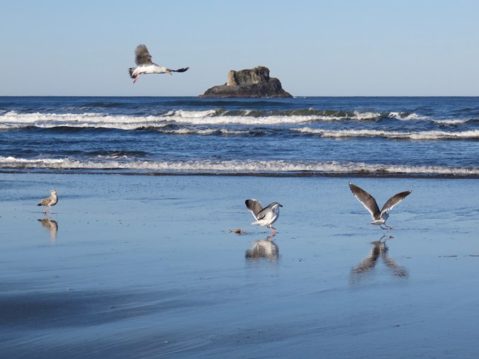 ASSIGNMENT #4: The Idyllic&nbsp;Place