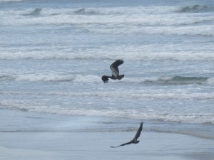 IMG_5906