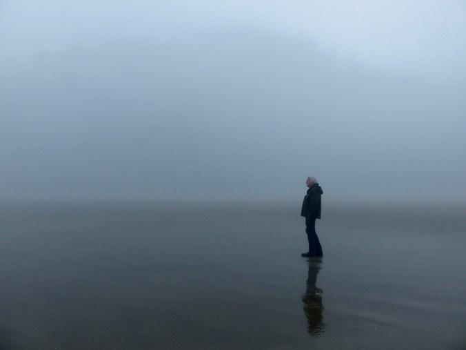FOG
