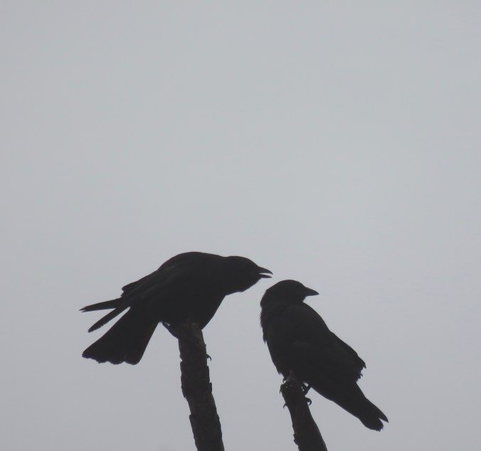 PERSON2PERSON