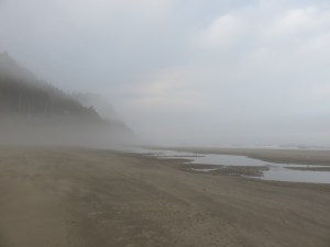 IMG_6649