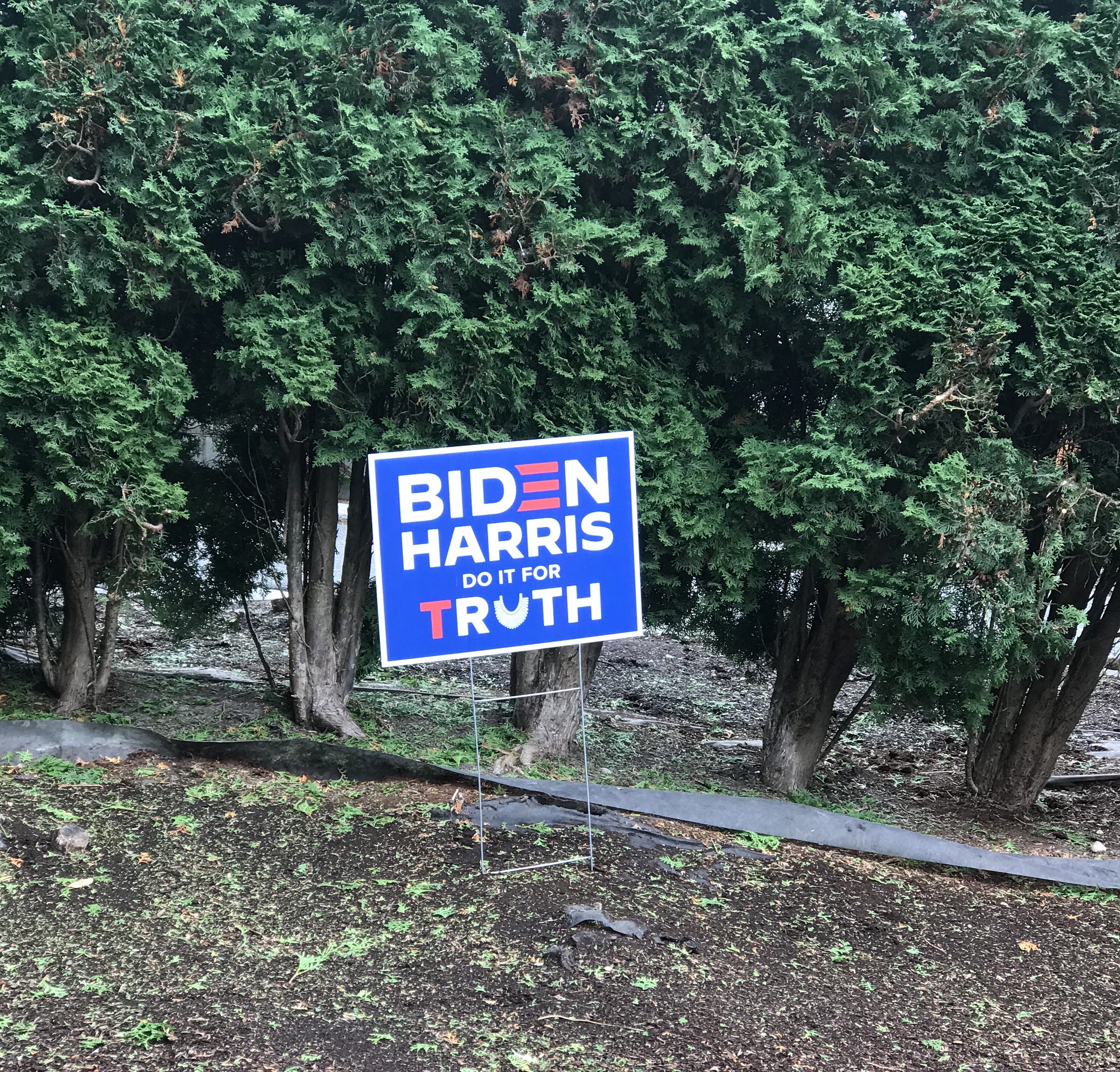 VOTE