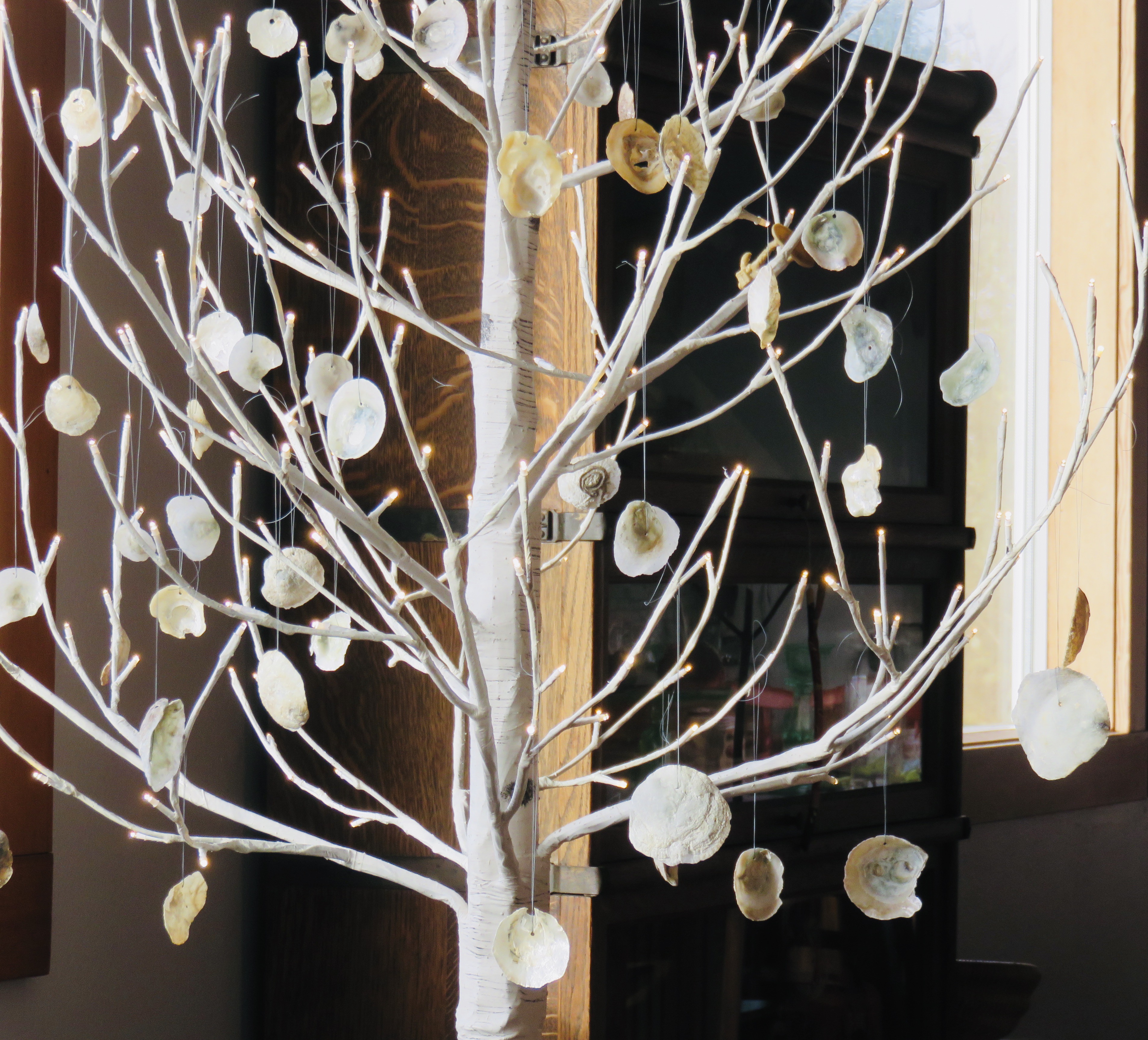The tree in sunlight