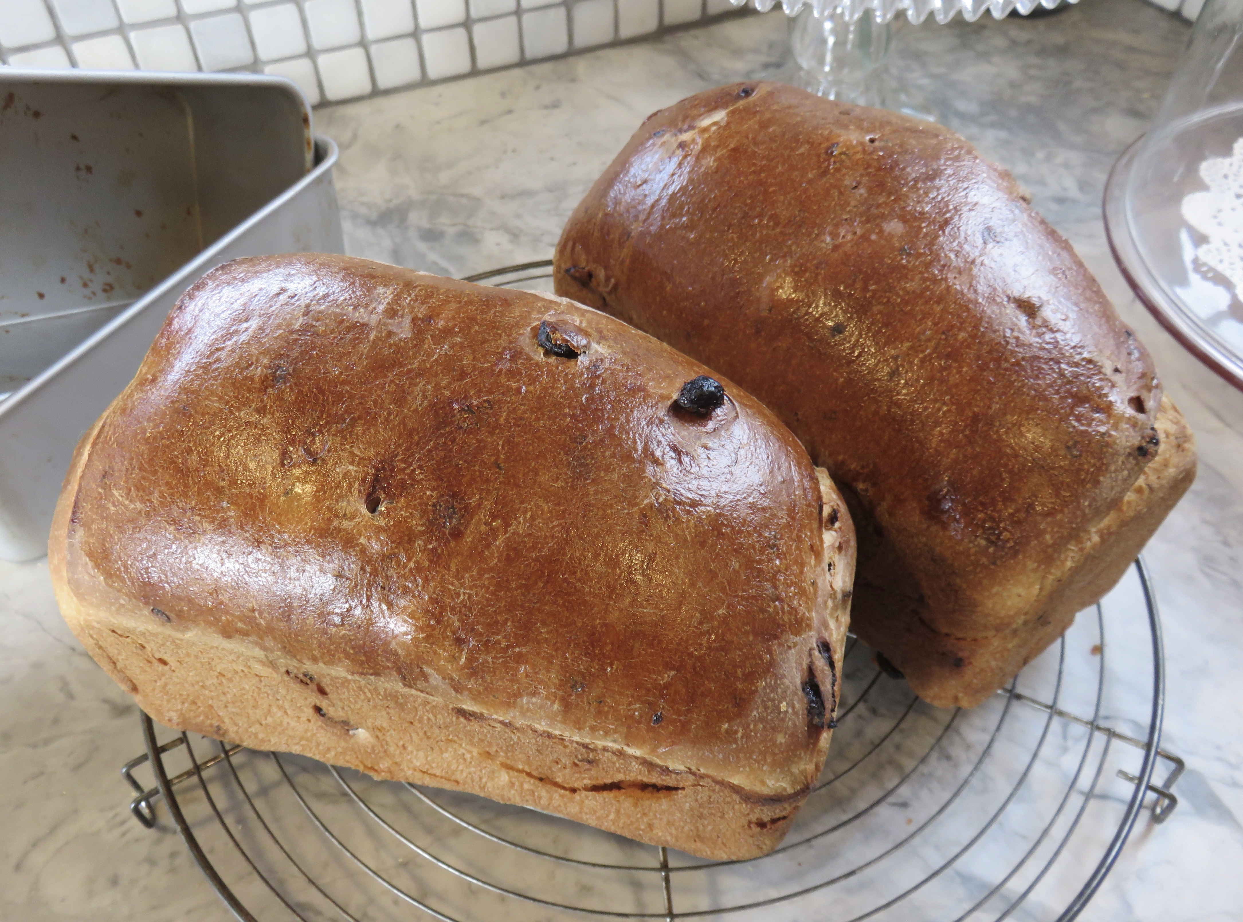 The BREAD RISES