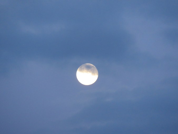 MOON