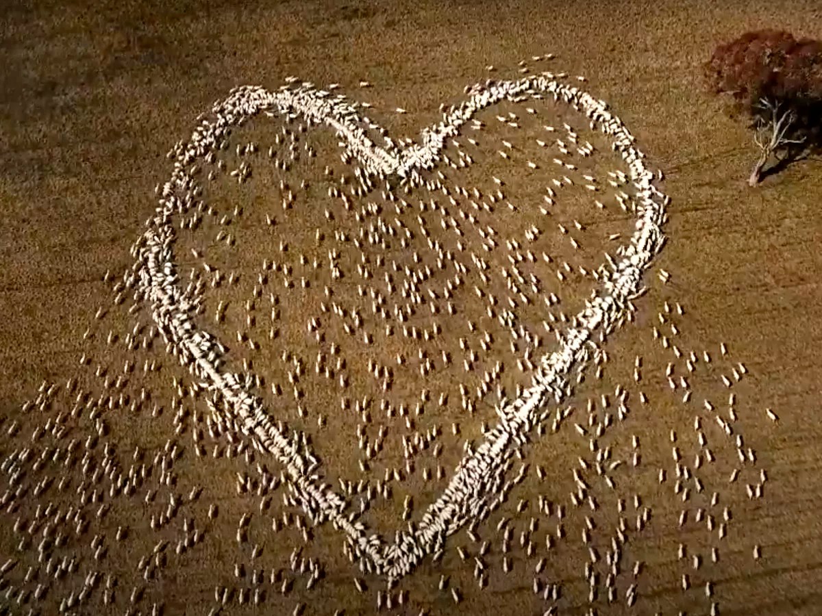with love