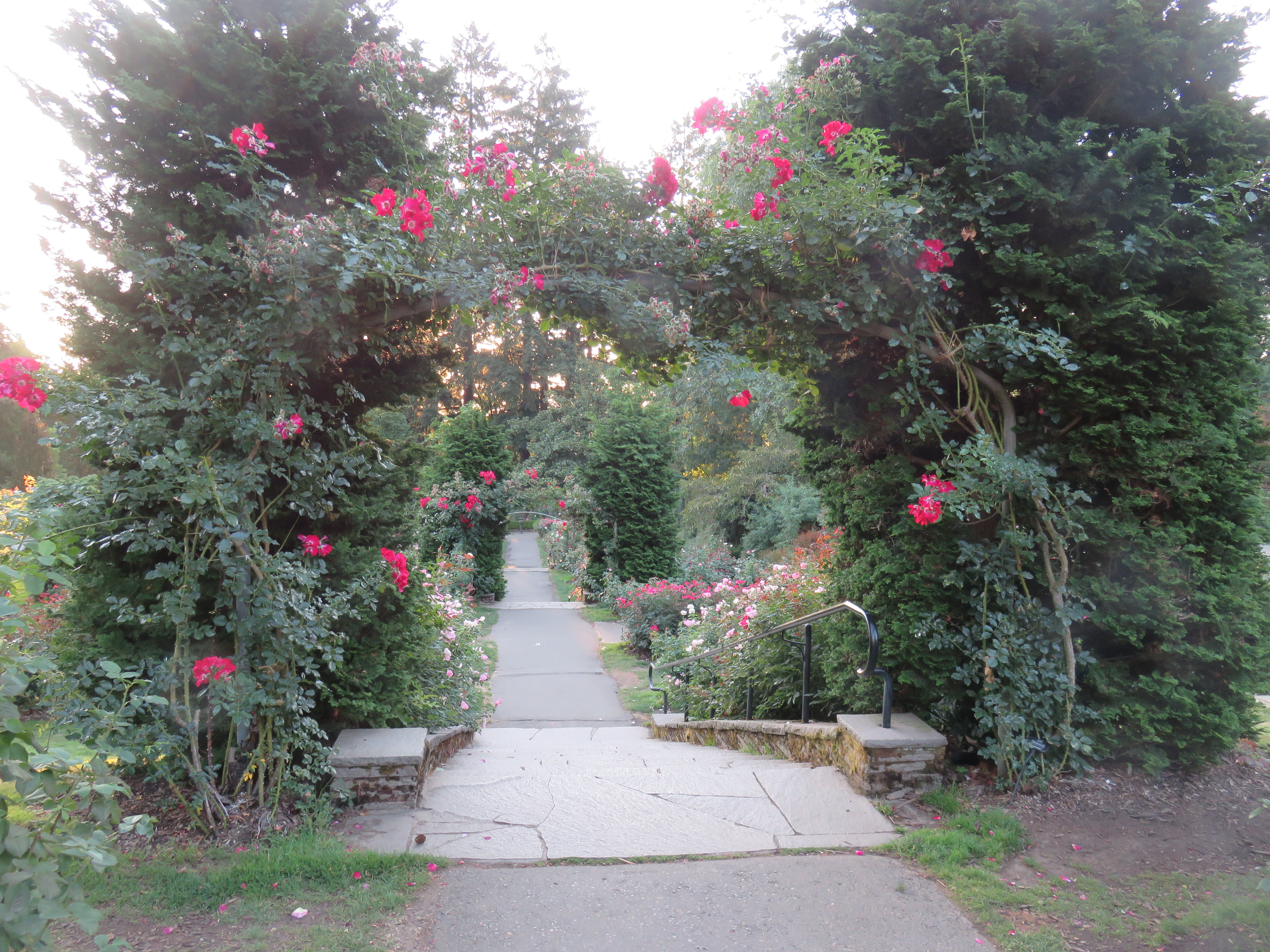 BACK TO THE&nbsp;GARDEN