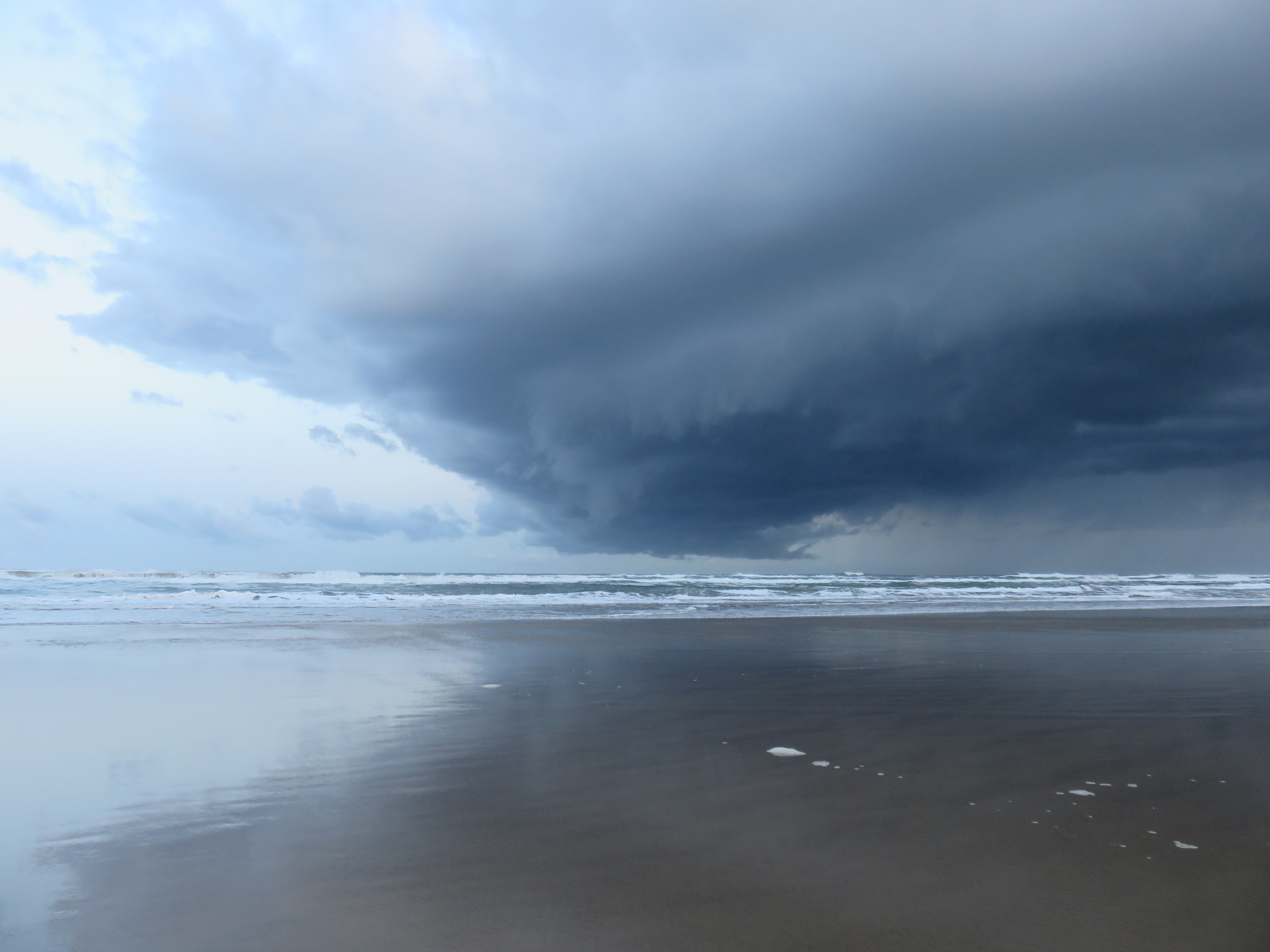 BEACHCOMBING